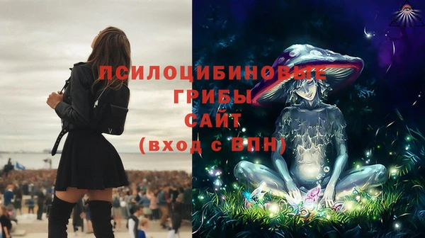 альфа пвп Нея