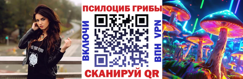 Галлюциногенные грибы MAGIC MUSHROOMS  мега маркетплейс  Поворино 